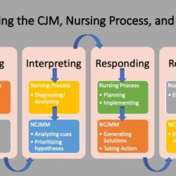 Relearning clinical judgement plan of care