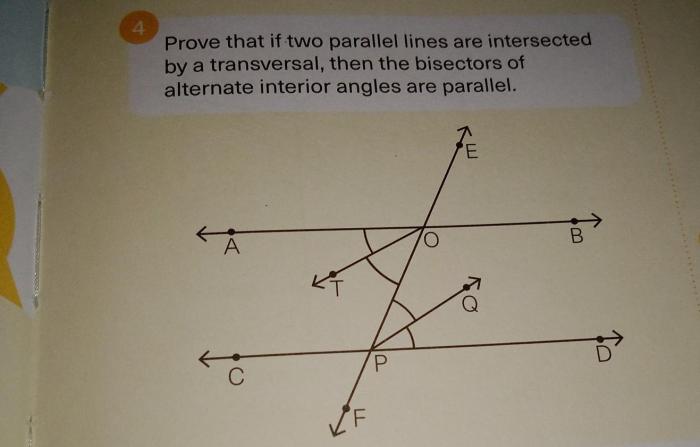 Write a paragraph proof of theorem 3-8