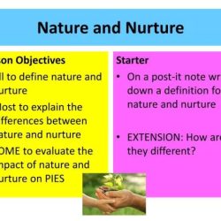 Nature vs nurture lesson plan