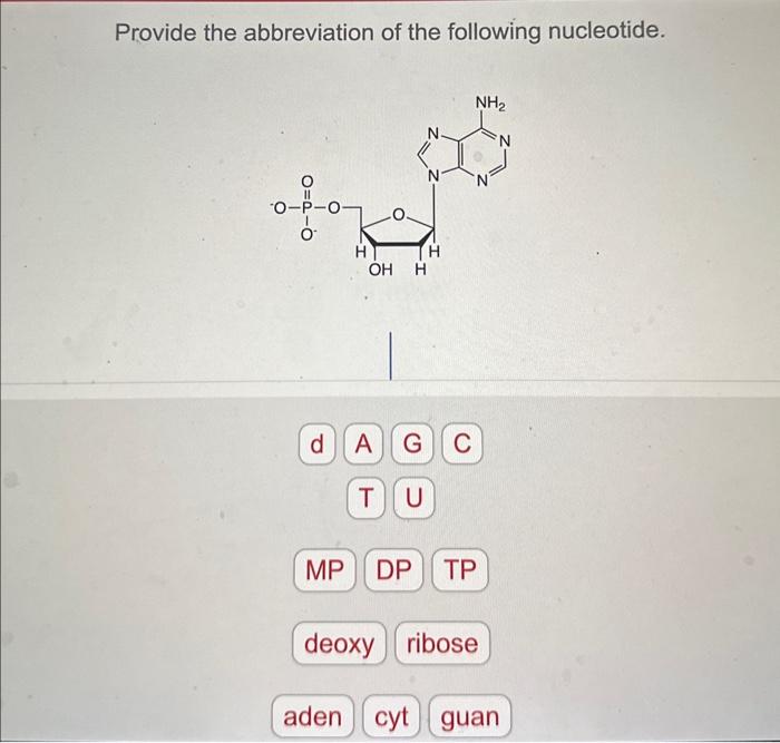 Provide the abbreviation of the following nucleotide