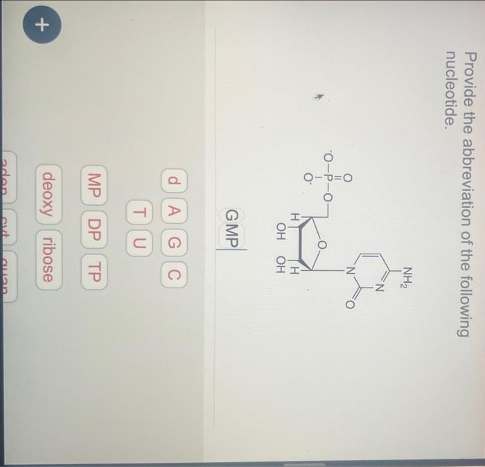 Provide the abbreviation of the following nucleotide