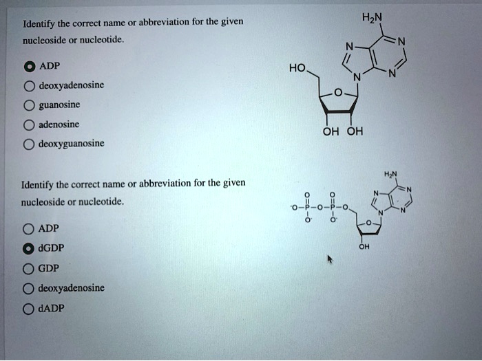 Provide the abbreviation of the following nucleotide